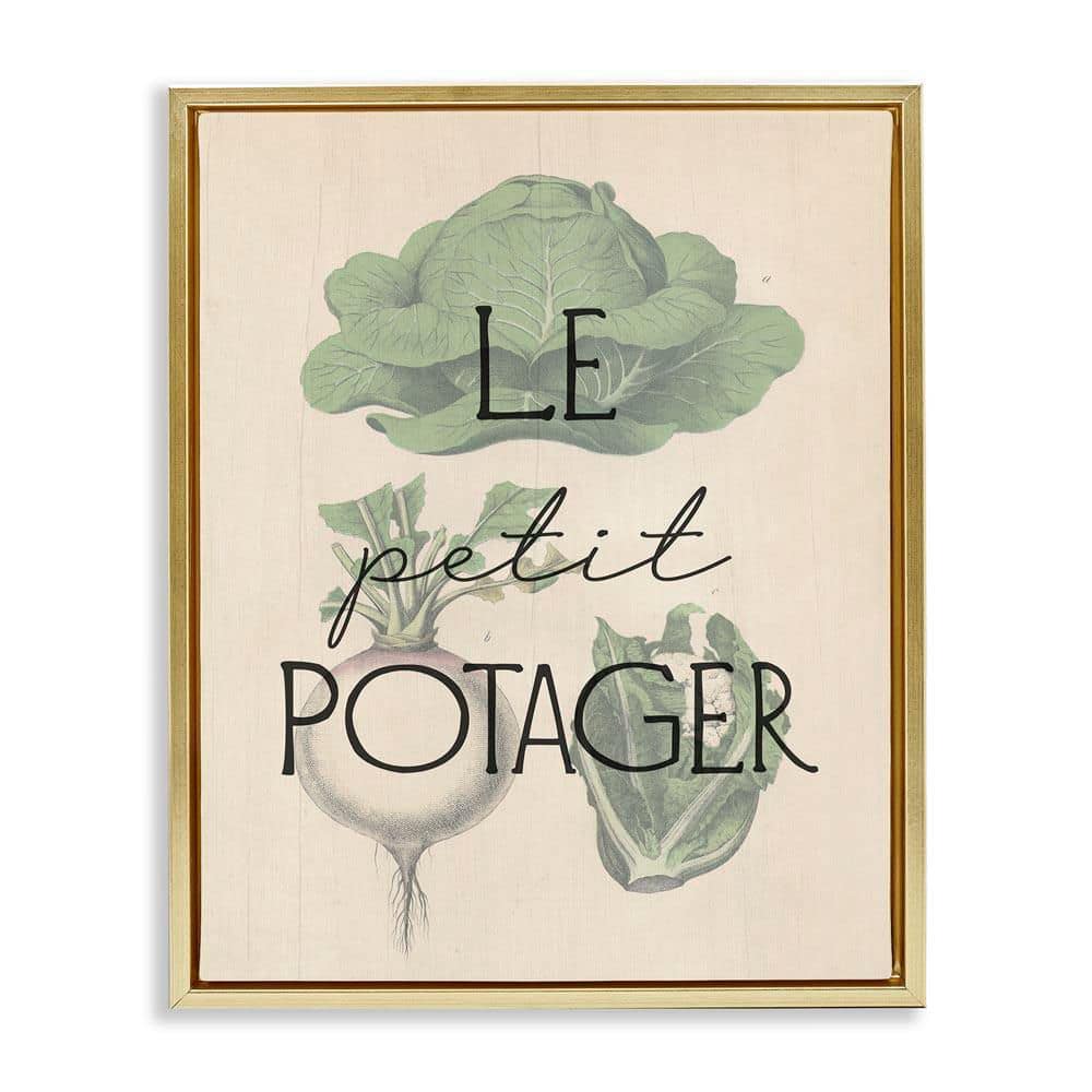 French Vegetable Garden by Daphne Polselli Gold Floater Frame Food Graphic Art Print 31 in. x 25 in. price history on PriceWatchPro