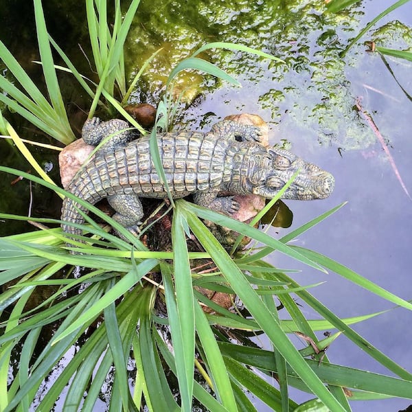 Waterproof,Lightweight,Business Casual Mini Metallic Crocodile