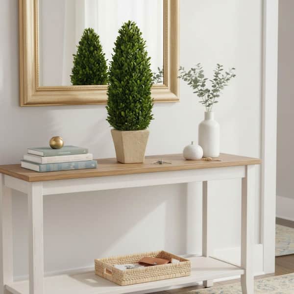 Topiary Window Box 20 in. Preserved Decorative Boxwood Cone Topiary in Pot 8322GR-20 - The ...