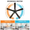 Parrot Uncle 52 in. LED Matte Black Ceiling Fan w/ Remote