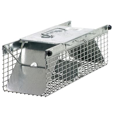 Havahart Large 1-Door Professional Live Animal Cage Trap for Raccoon ...