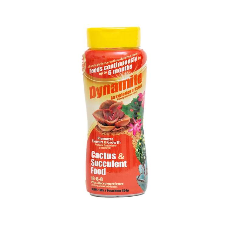 Dynamite Cactus & Succulent Food 18-6-8