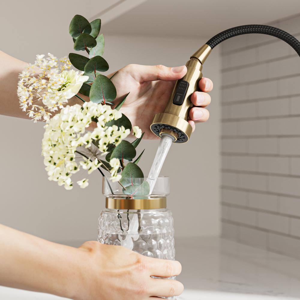 Brushed Brass Pull Down Kitchen Faucet with Spray