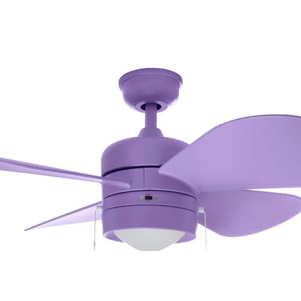 LED Purple Ceiling Fan Home Decorators Collection  Padgette 36 in 