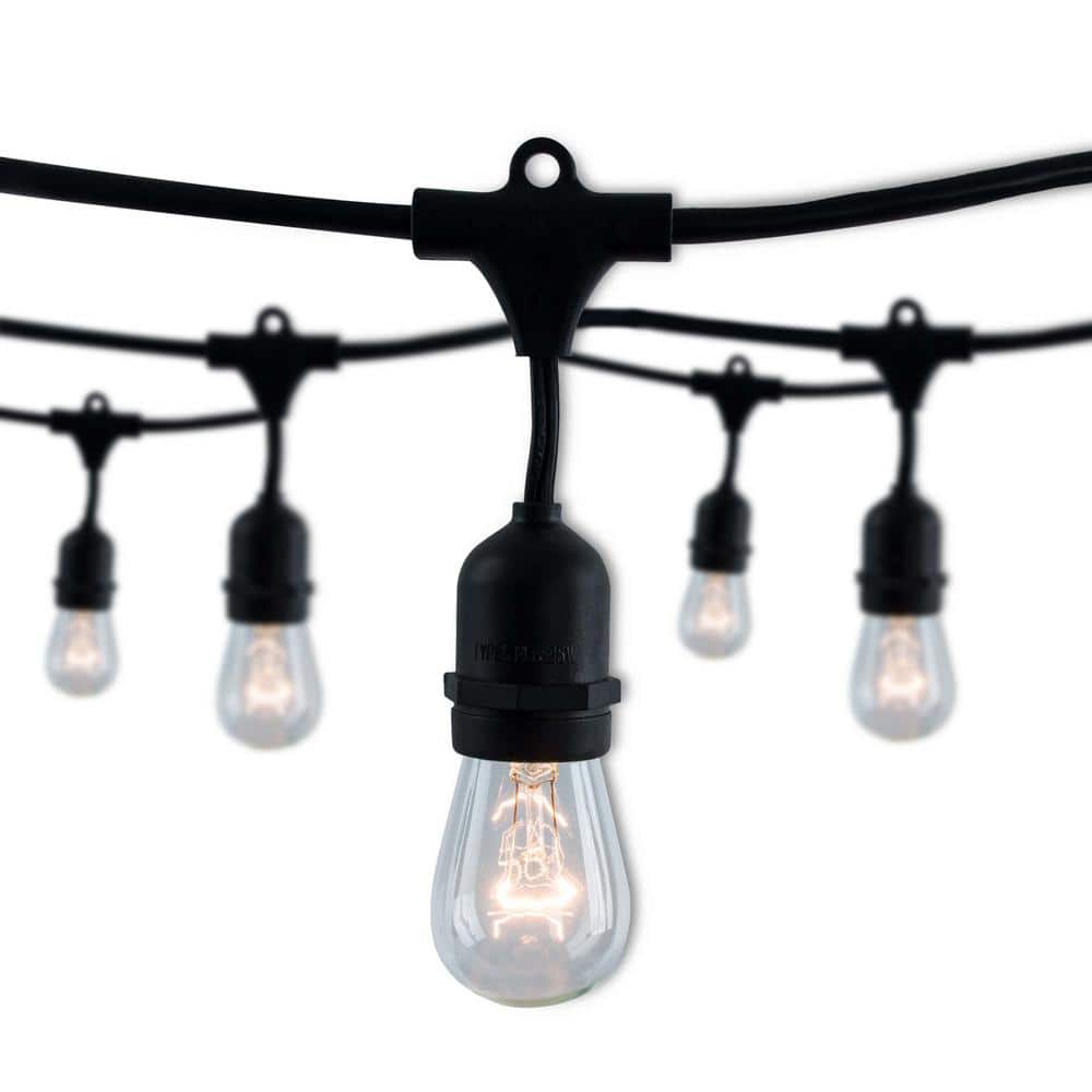 Outdoor/Indoor 30 ft. Plug-in S14 Incandescent Black String Light 12 Socket