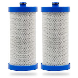 Replacement Water Filter for Frigidaire WFCB, WF1CB, NGRG-2000, RF-100 (2-Pack)