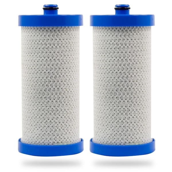 Swift Green Filters Replacement Water Filter for Frigidaire WFCB, WF1CB, NGRG-2000, RF-100 (2-Pack)