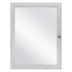 Glacier Bay 16 in. W x 20 in. H Rectangular Plastic Medicine Cabinet with  Mirror MP109 - The Home Depot