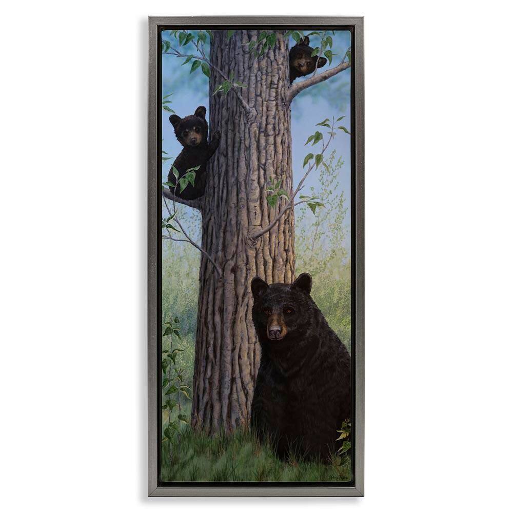 Mama Bear and Cubs by Valerie Rogers Gray Floater Frame Animal Graphic Art Print 25 in. x 11 in. price history on PriceWatchPro