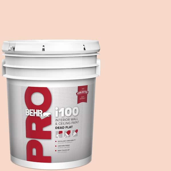 BEHR PRO 5 gal. #M200-1 Peach Sachet Dead Flat Interior Paint
