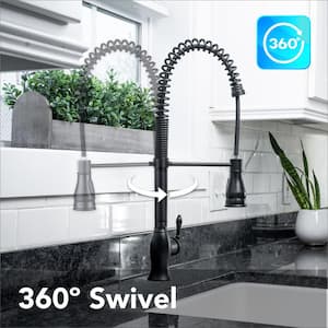 Kitchen Series Single-Handle Spring-Style Pull-Down Sprayer Kitchen Faucet in Matte Black