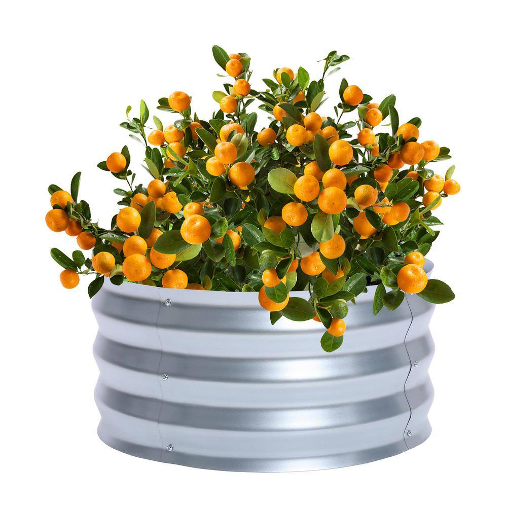 24.25" Silver Galvanized Metal Round Raised Garden Bed Planter