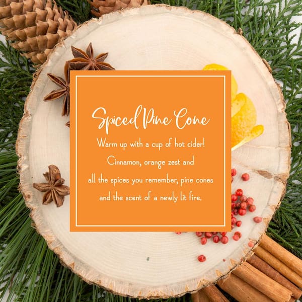 Scented Ornaments, 6ct Bottle, Spiced Pine Cones, Fragrance-Infused Paper Sticks, 2 Pack