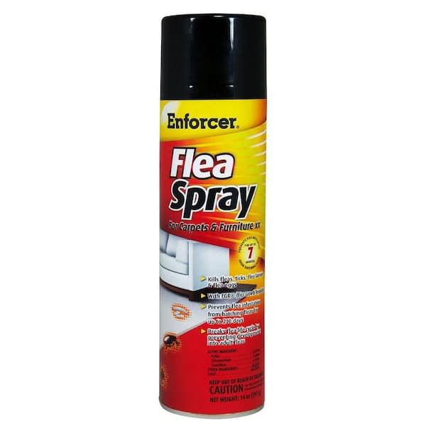 ENFORCER 14 oz. Flea Spray for Carpets and Furniture (Case of 12)