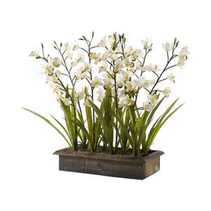 cymbidium silks