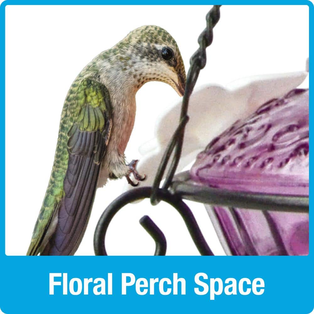 Antique Plum Glass Hanging Hummingbird Feeder with Flower Ports