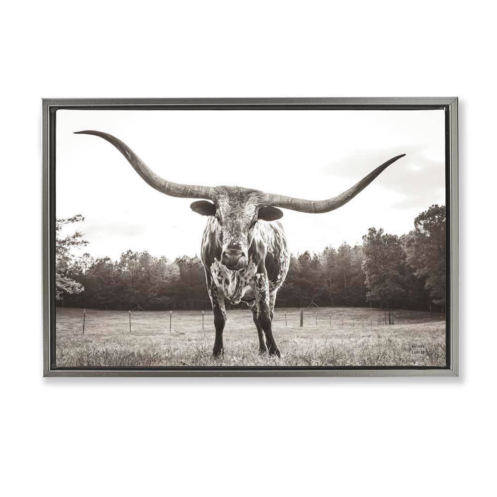 Longhorn Licking Lips by Nathan Larson Gray Floater Frame Animal Graphic Art Print 17 in. x 25 in. price history on PriceWatchPro