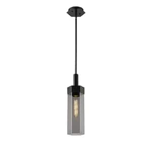 Claverack 100-Watt 1 Light Matte Black Shaded Pendant Light with Tinted glass Tinted Glass Shade