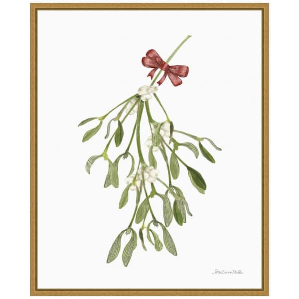 Amanti Art 16 in. W x 19.62 in. H Peace and Joy Mistletoe Christmas Holiday Framed Canvas Box Wall Art