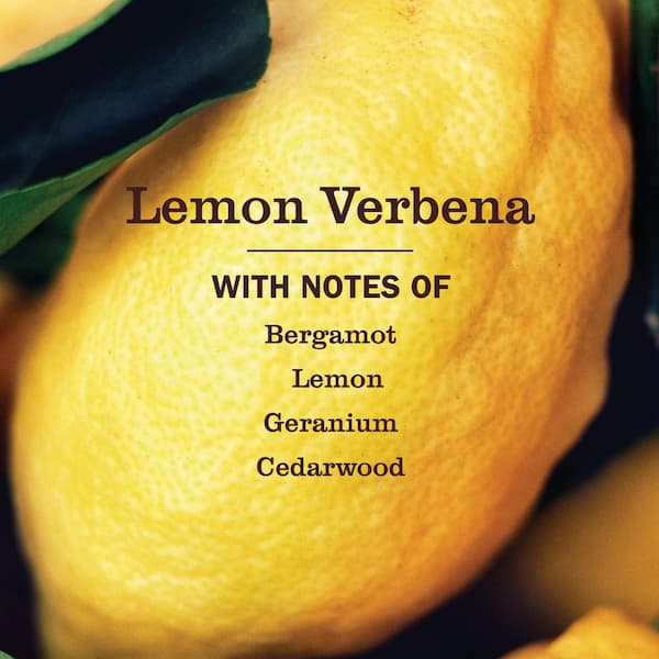 Mrs. Meyer's Clean Day 16.oz. Lemon Verbena Liquid Dish Soap