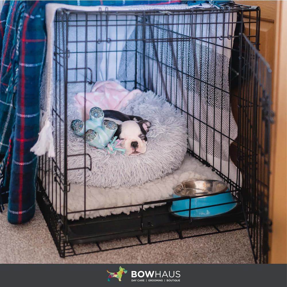 Foldable Black Metal Dog Crate with Double Doors