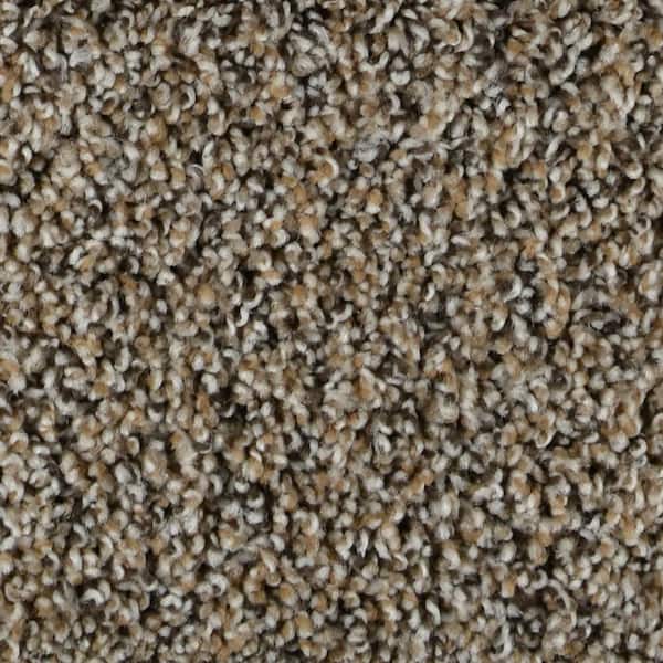 TrafficMaster 8 in. x 8 in. Texture Carpet Sample - Captain -Color Rochester