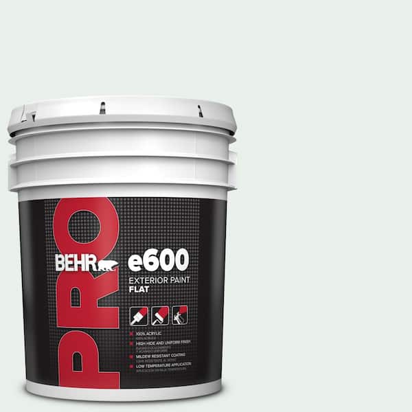 BEHR PRO 5 gal. #PPL-36 Cool Reflection Flat Exterior Paint