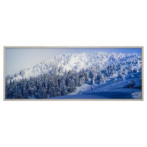 "Alpine Landscape" Silver Frame Photography Wall Art 23.6 in. x 63 in.