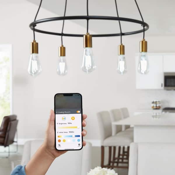 60-Watt Equivalent Smart ST19 Tunable White Clear CEC LED Light Bulb with Voice Control Powered by Hubspace (4-Pack)