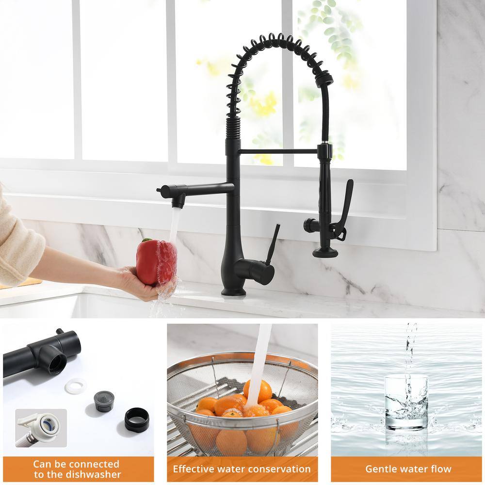 Black Stainless Steel Commercial Single Handle Kitchen Faucet with Pull-Down Sprayer