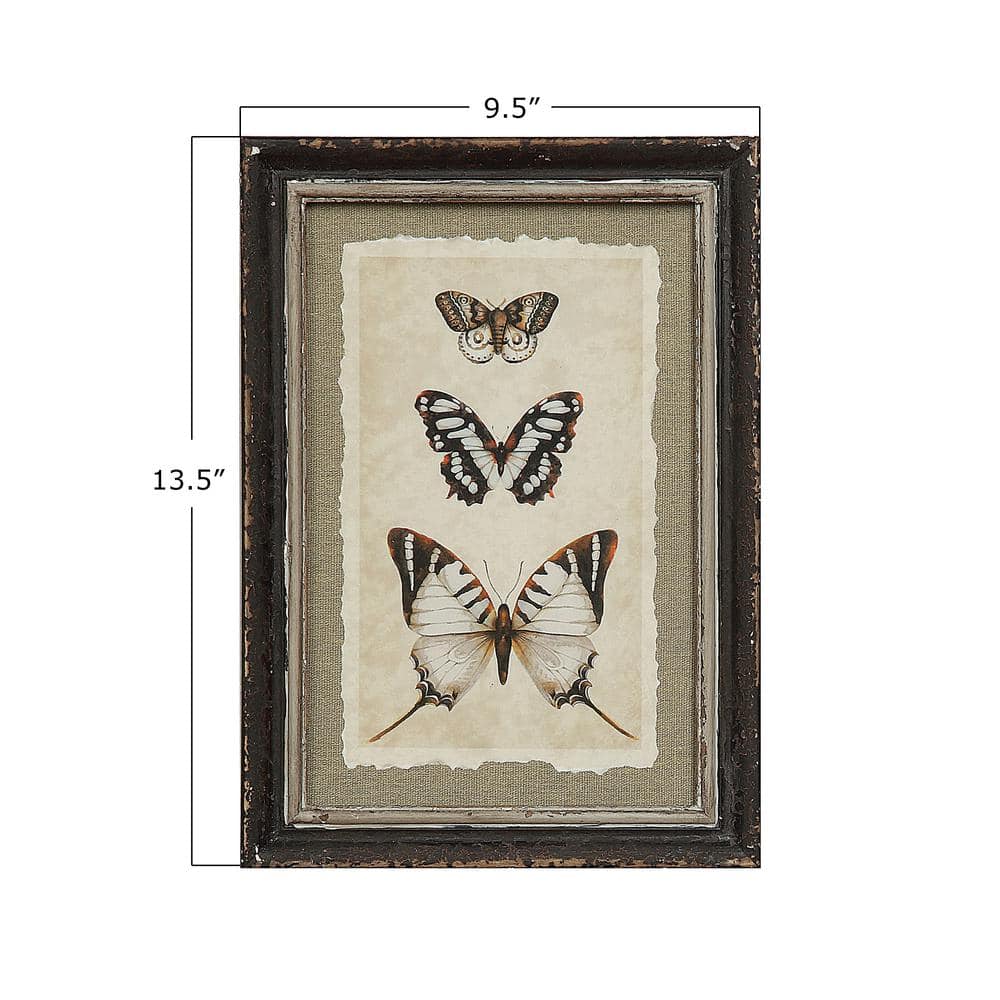 Wood Framed Vintage Insect Prints Set of 4