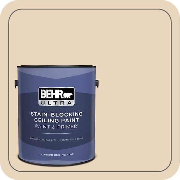 1 gal. #PPH-14 Roasted Almond Ceiling Flat Interior Paint and Primer