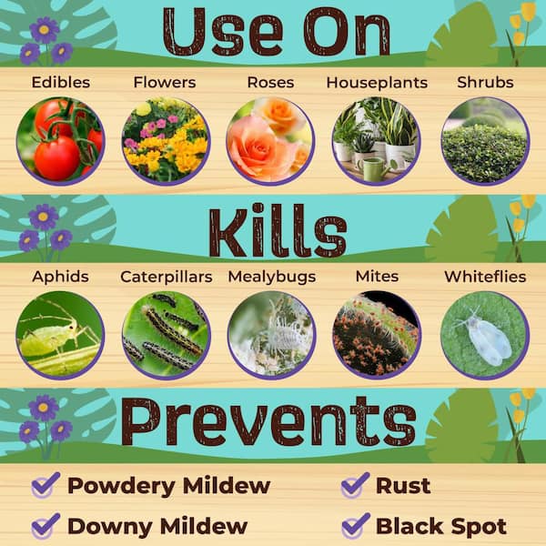 Captain Jack's Rose Rx 4-in-1, 32 oz. Ready-To-Use Fungicide, Insecticide, Miticide and Nematicide