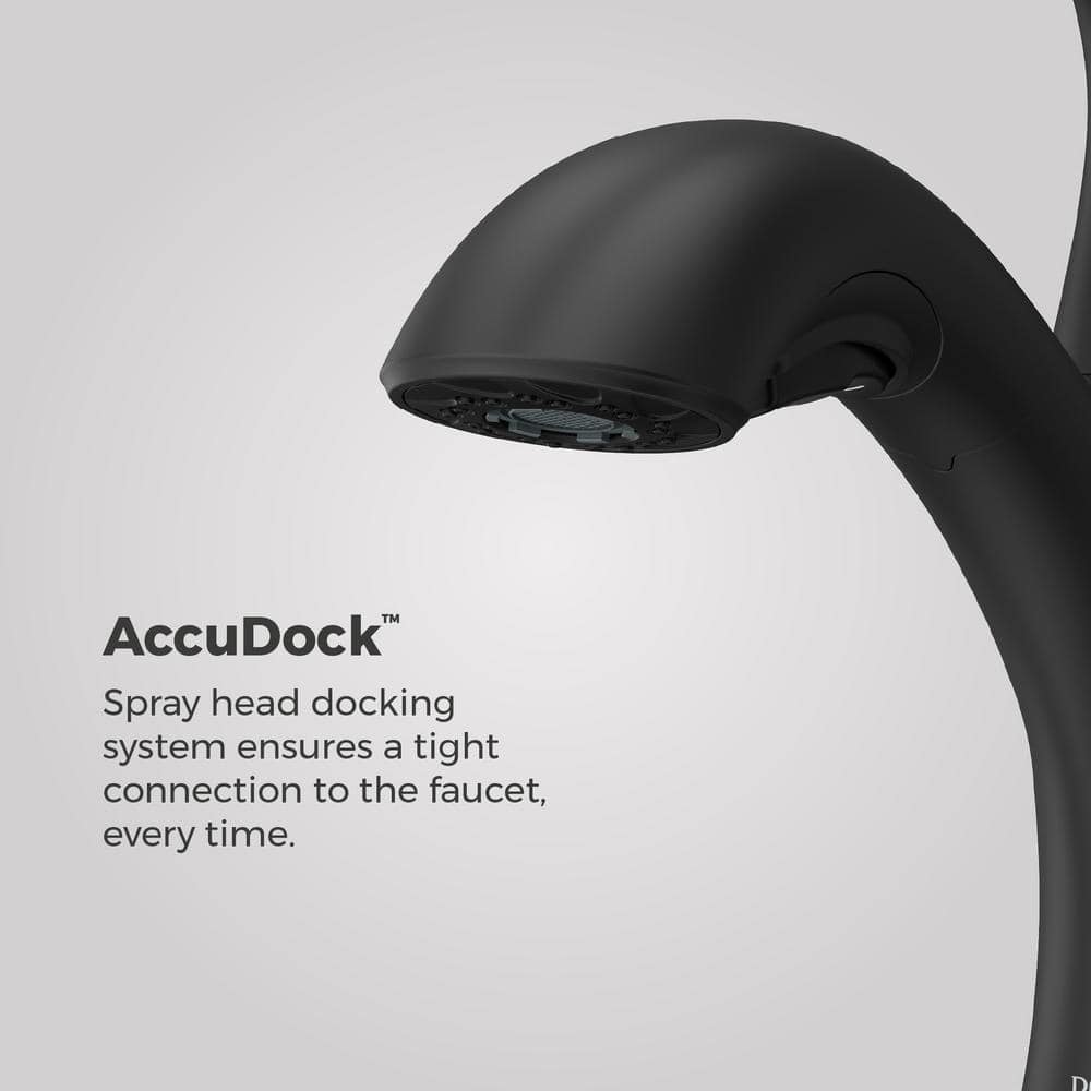 Matte Black Single Handle Pull-Out Kitchen Faucet