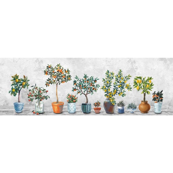 Unbranded "Fruits in the Pots" by Parvez Taj Unframed Canvas Nature Art Print 15 in. x 45 in.