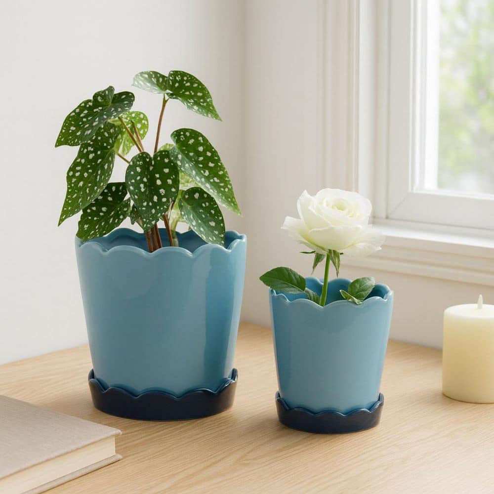 Liv & Skye 6 in. and 8 in. Blue Ceramic Color Block Scallop Edge