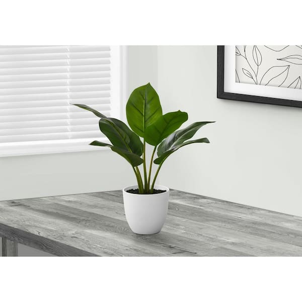 Unbranded 17 in. Green Artificial Aureum in 5 in. White Plastic Pot