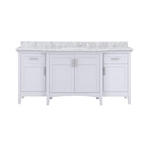 Sassy 72 in. W x 22 in. D x 34 in. H Single Sink Bath Vanity in Dove Gray with Carrara Marble Top