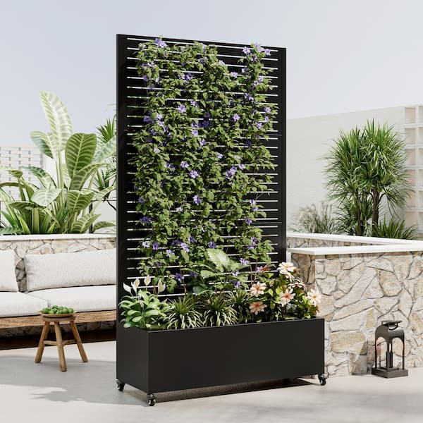 plants mania　THE SIDE UP BOX Unbranded dormant kit from big box store : r/SavageGarden