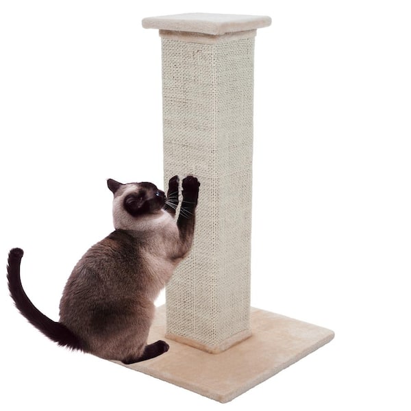 Extra tall cat scratcher best sale