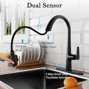 Touchless Single Handle High Arc Pull Down Sprayer Kitchen Faucet in Matte Black