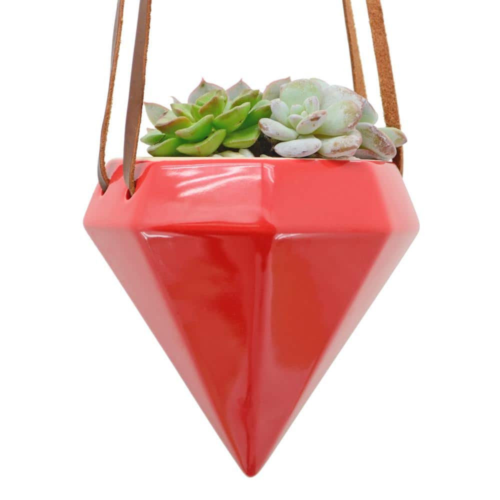 Glam Red Ceramic Cone Hanging Planter - 4.5" Indoor/Outdoor