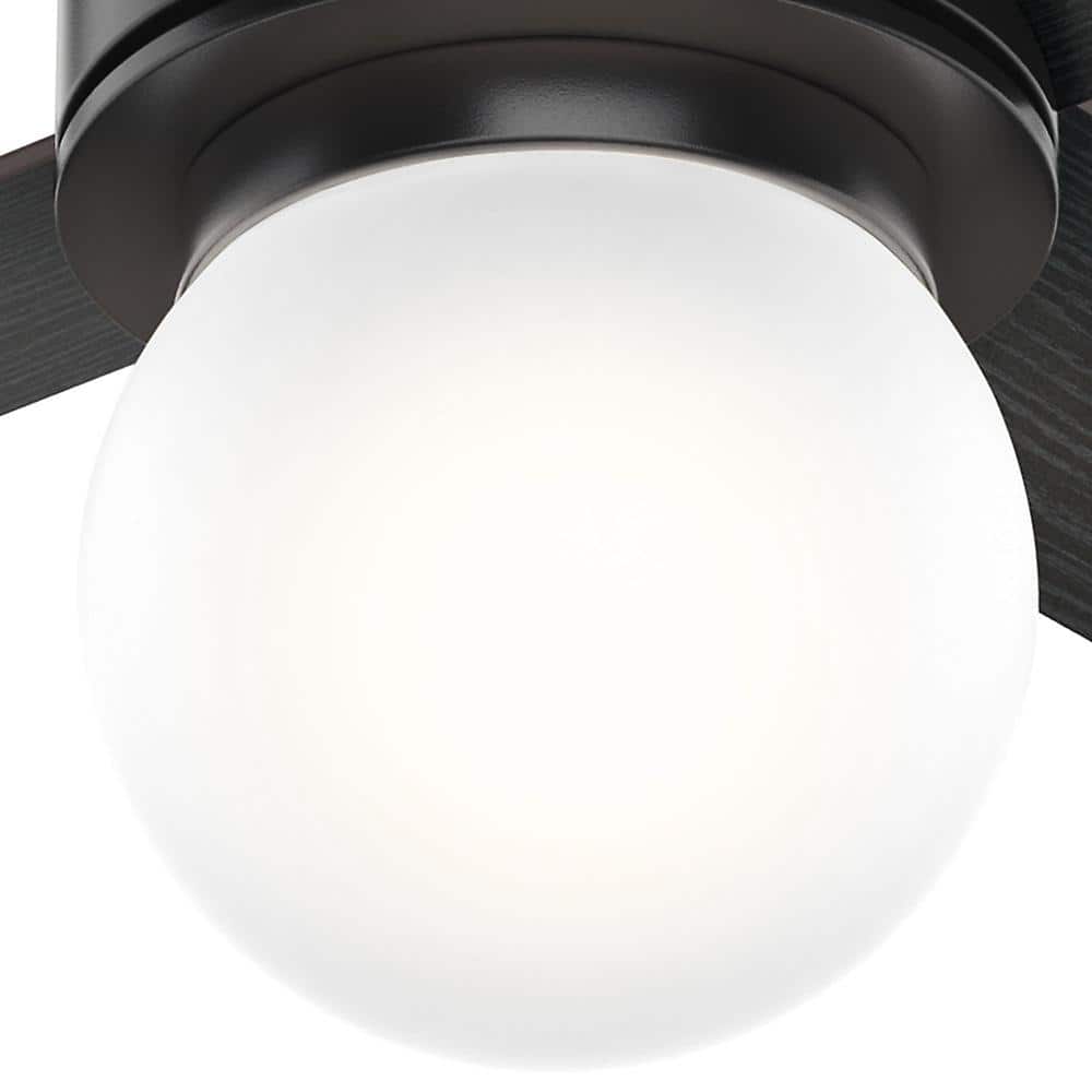 52" Matte Black Ceiling Fan with Globe Light and Wall Control
