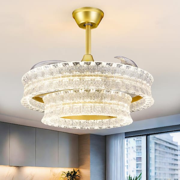 Cy'rqueフライヤーMAYALAFFLESIA繭LAREINECHARLES Depuley 24 in Modern Invisible Ceiling Fan with Lights, Crackle