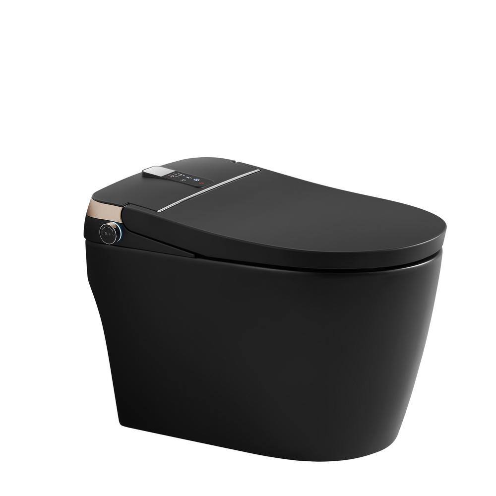Matte Black Elongated One-Piece Smart Bidet Toilet with Dual Flush