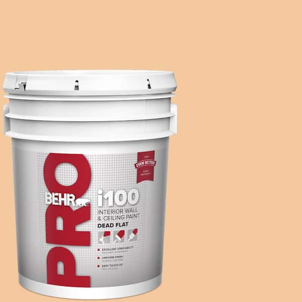 BEHR PRO 5 gal. #M240-4 Sheer Apricot Dead Flat Interior Paint