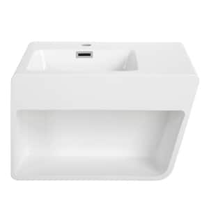 23.6 in. W x 17.7 in. D x 14.1 in. H Vanity in Glossy White with Solid Surface Resin Top in White with White Basin