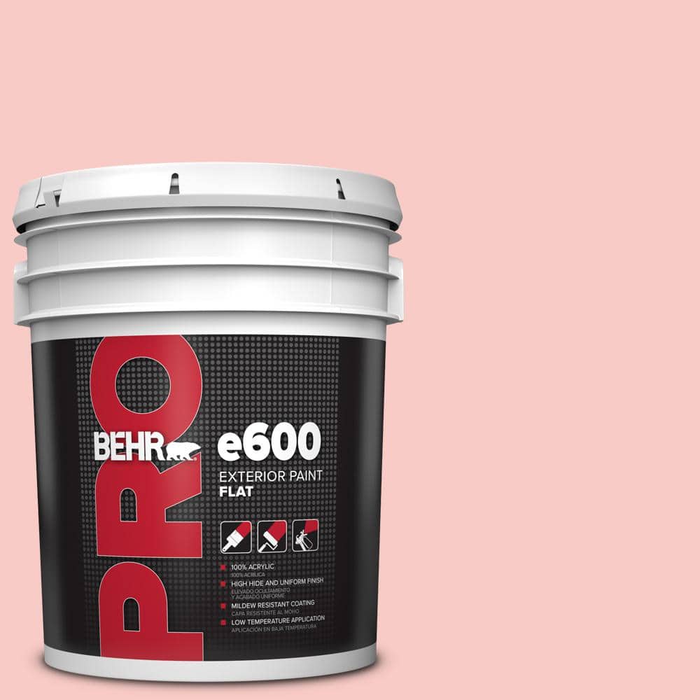 5 gal. #160C-2 Flush Pink Flat Exterior Paint price history on PriceWatchPro
