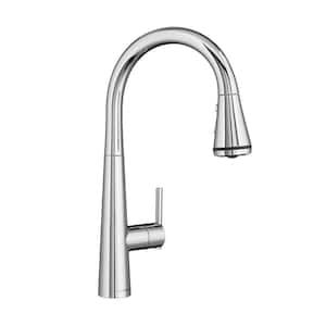Edgewater Single-Handle Pull-Down Sprayer Kitchen Faucet with SelctFlo in Polished Chrome