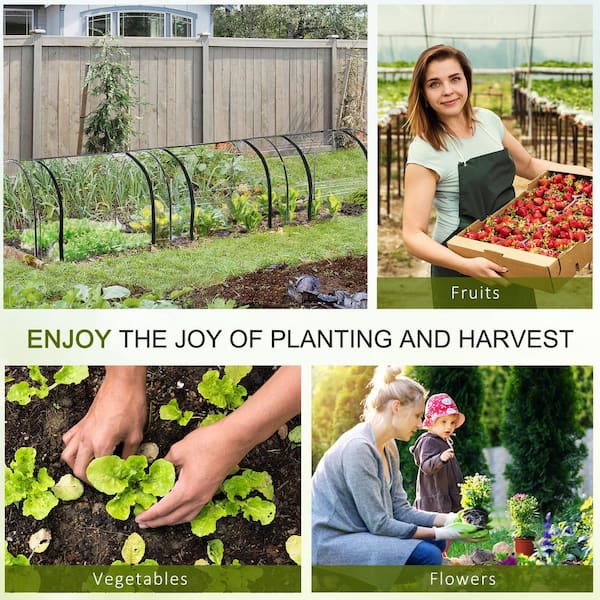 Garden Greenhouse Kits and Supplies – Mother Earth News